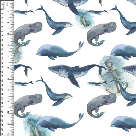 PREORDER Anchor Whales