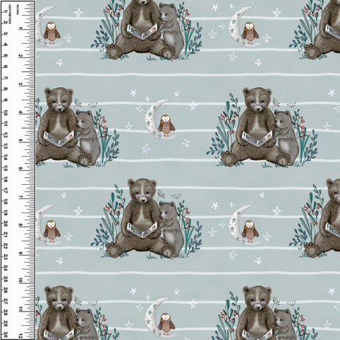 PREORDER Bear Bedtime Story