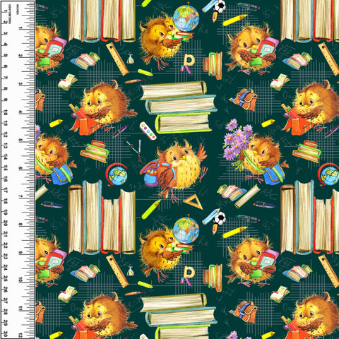 PREORDER Book Owls