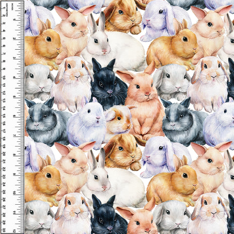 PREORDER Bunnies