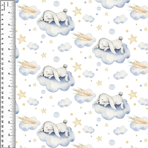 **NEW** PREORDER Carrot Bunny Dreams