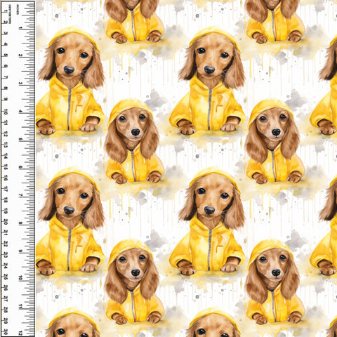 PREORDER Dachshund Raincoat