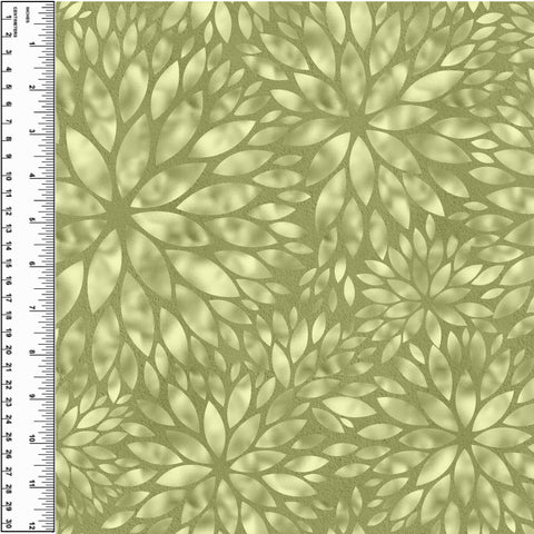 PREORDER Dahlia Growth