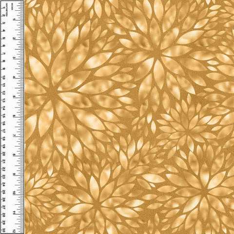 PREORDER Dahlia Sunset
