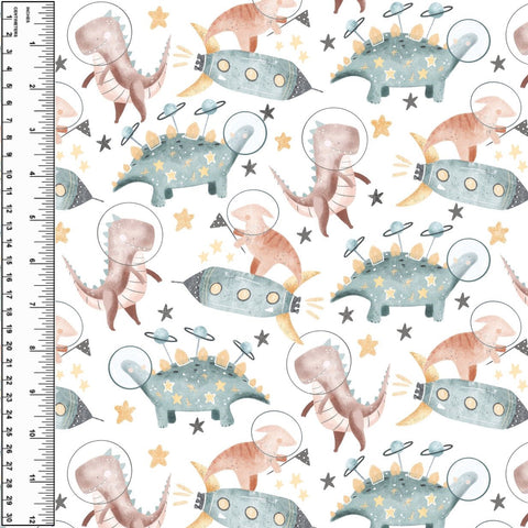 PREORDER Dinosaur Astronauts