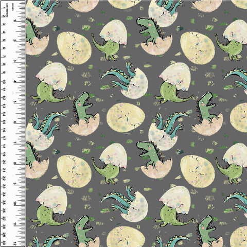 PREORDER Dinosaur Eggs