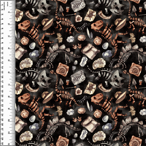 PREORDER Dinosaur Fossils Dark