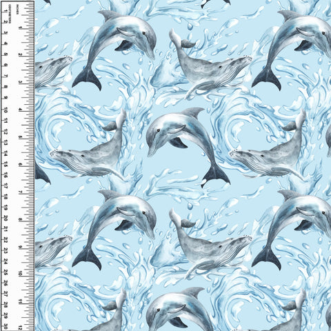 **NEW** PREORDER Dolphin Humpback