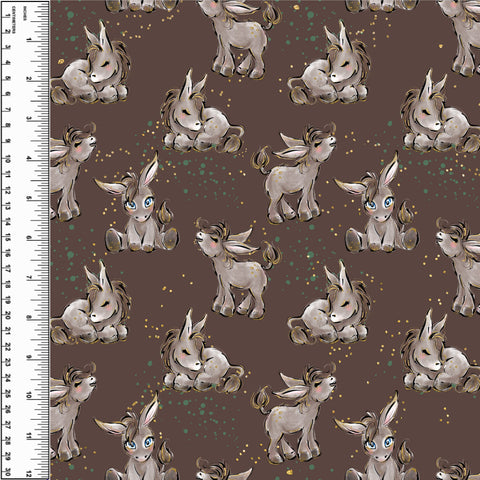 PREORDER Donkeys