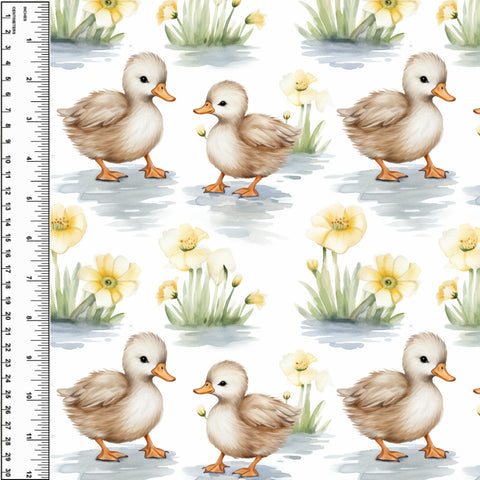**NEW** PREORDER Duck Babies