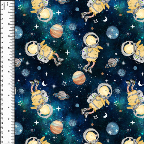 PREORDER Duck In Space