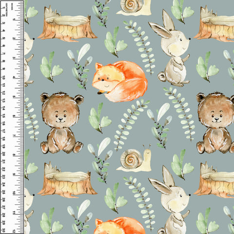 PREORDER Fern Friends