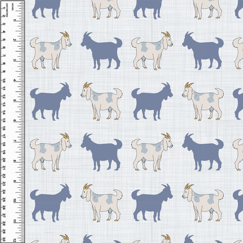 PREORDER Goats