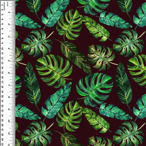 PREORDER Monstera