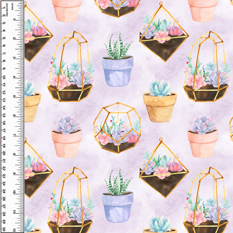 PREORDER Painted Succulents