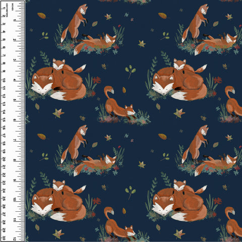 PREORDER Playful Foxes