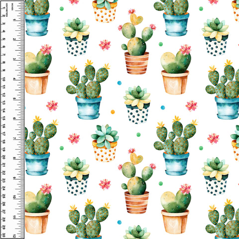 PREORDER Potted Cactus