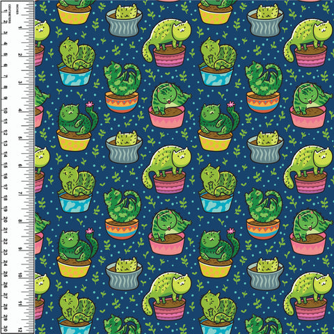 PREORDER Prickly Kitten