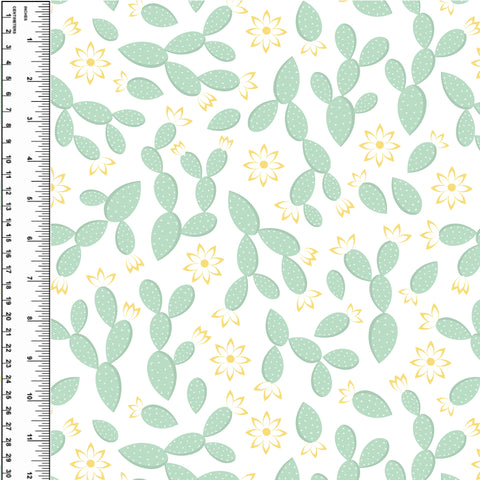 PREORDER Prickly Pear