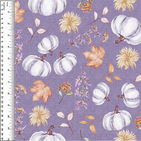 PREORDER Purple Pumpkins