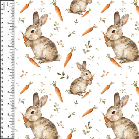**NEW** PREORDER Rabbit Carrots