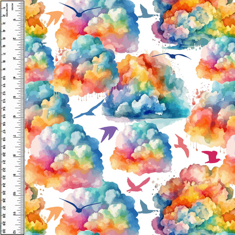 **NEW** PREORDER Rainbow Clouds Birds