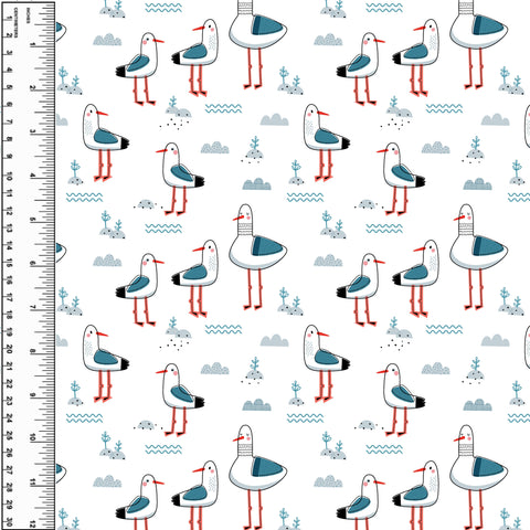 **NEW** PREORDER Seagulls