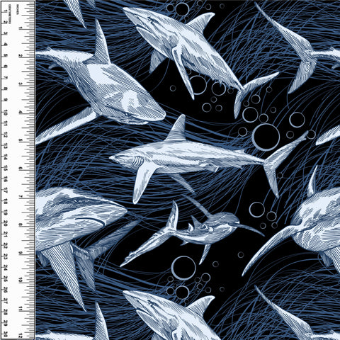 PREORDER Shark Sketch