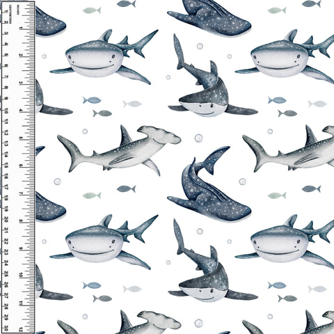 PREORDER Shark Smiles