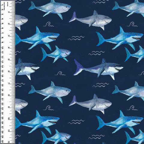 PREORDER Sharks Swimming