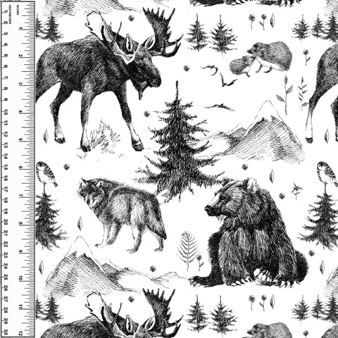Sketched Forest Cotton French Terry