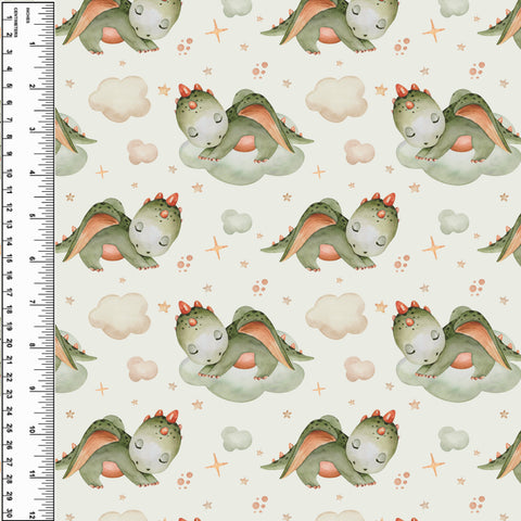 **NEW** PREORDER Sleepy Dragon Clouds