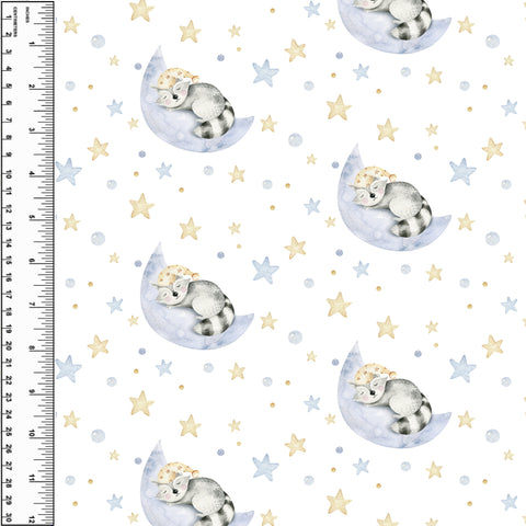 **NEW** PREORDER Sleepy Raccoons