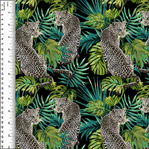 PREORDER Snow Leopards