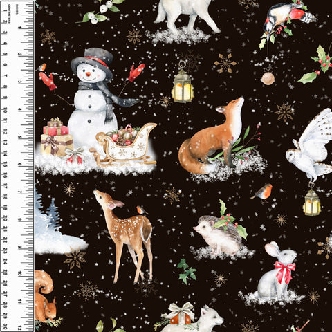 PREORDER Snowy Wonderland