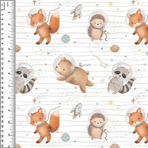 PREORDER Space Critters Stripe