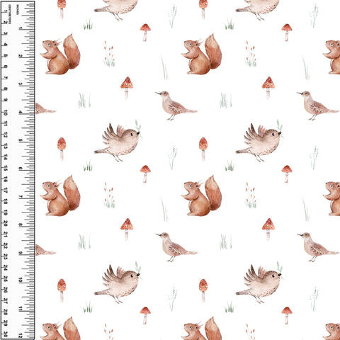 **NEW** PREORDER Squirrel Mushroom Birds