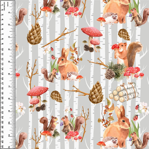 PREORDER Squirrel & Birch