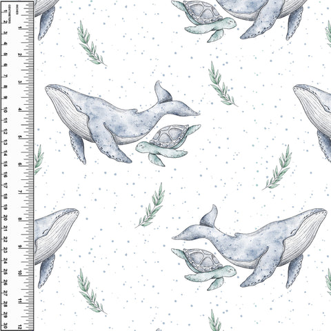 PREORDER Whale & Turtle