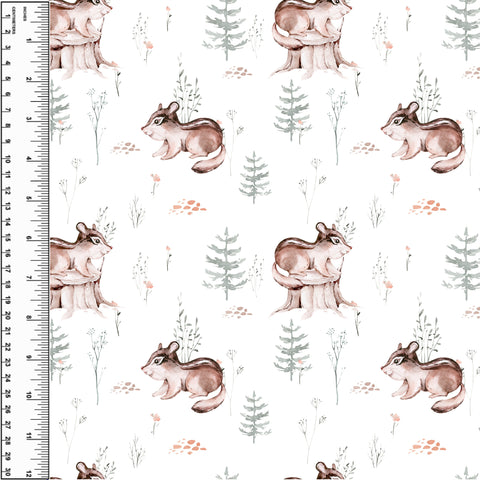 PREORDER Woodland Chipmunk