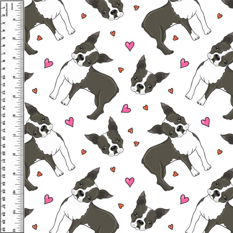 PREORDER Boston Terrier