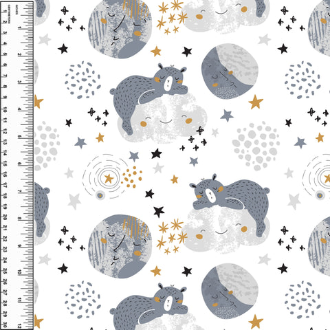 PREORDER Sleepy Cloud Bear