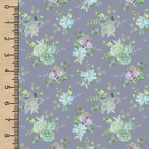 PREORDER Succulents Small Scale