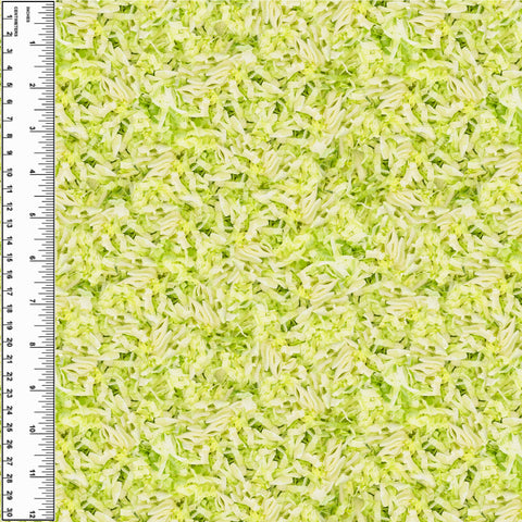 PREORDER Taco Shredded Lettuce