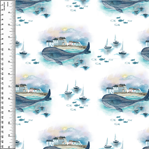 PREORDER Whales in St Ives
