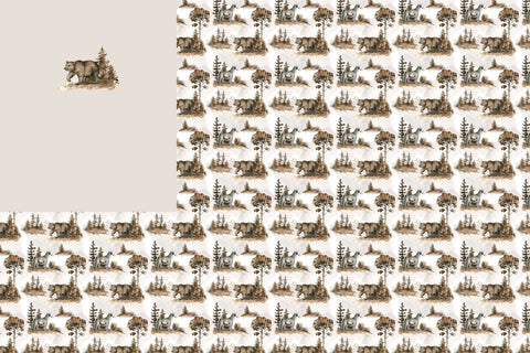 PREORDER Bear Forest Rapport