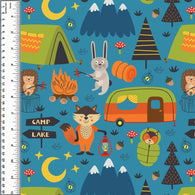 PREORDER Camp Lake Critters