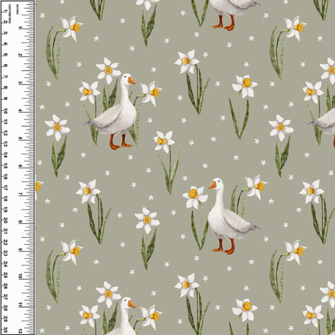 Daffodil Duck Squish 54" Wide