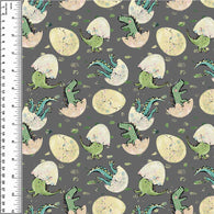Dinosaur Eggs Cotton French Terry