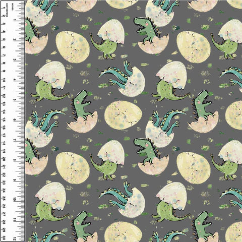Dinosaur Eggs Cotton French Terry
